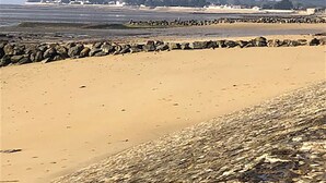 A beach with a rocky shoreline, a clear sky, and distant buildings. - Facing the sea - 50 m from the  beach (La Guérinière)