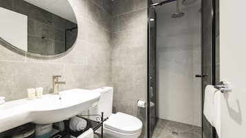 Shower, free toiletries, hair dryer, towels