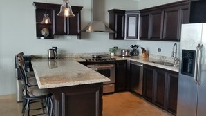 A modern kitchen with dark cabinetry, stainless steel appliances, and a granite countertop. - Fantastic view!!!! Romantic setting (Rosarito Beach)