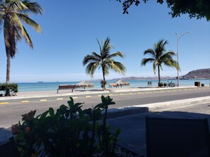 Une route côtière bordée de palmiers, un banc et une structure à toit de chaume.