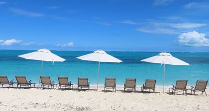The White House TCI