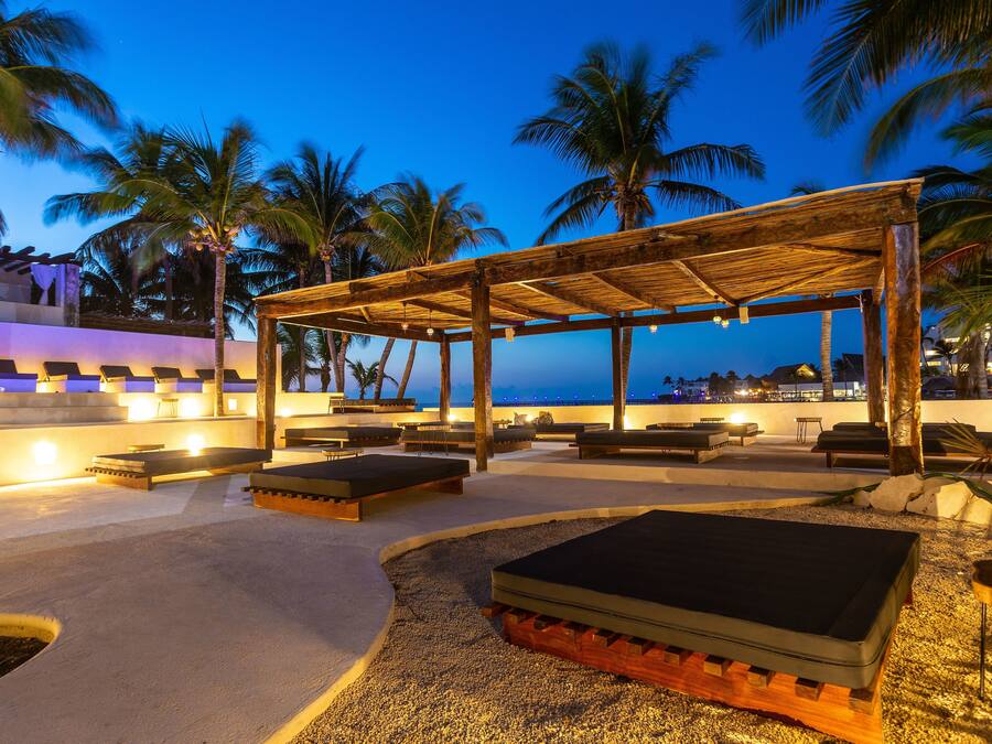 An outdoor lounge area with seating and a wooden pergola, surrounded by palm trees and a view of the ocean.