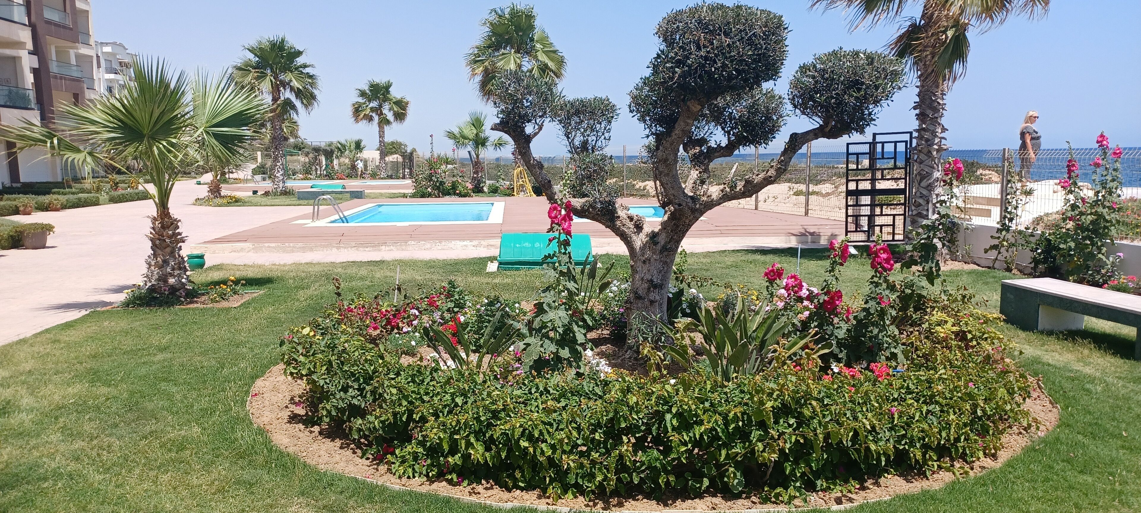 A pool area with a small pool, palm trees, and a well-maintained garden with flowers.