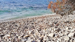 Beach nearby - Apartments Enzo, (15971), Rovinj, hr (Rovinj)