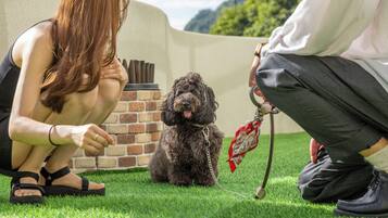 Una persona sentada sobre la hierba, con un perro, un muro de ladrillo y una cerca al fondo.