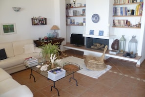 Televisión, chimenea y reproductor de DVD