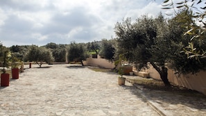 Property grounds - "Villa Athina" in Archanes village! (Heraklion)