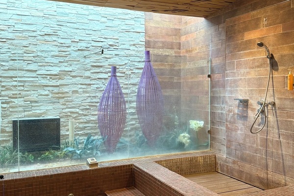 Bañera y ducha independientes, bañera de hidromasaje