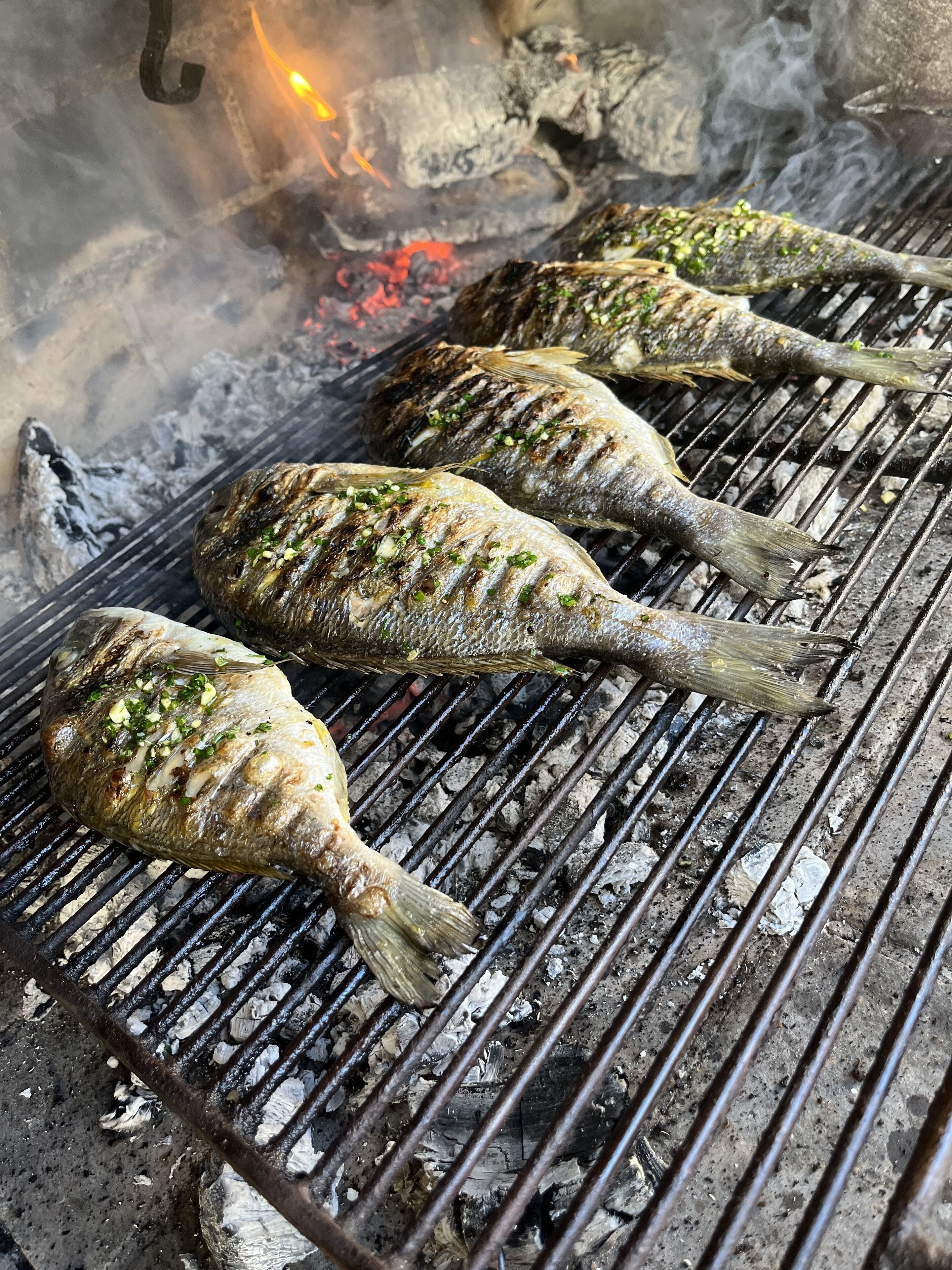 Grilled fish on a grill with visible grill marks and charred wood underneath.