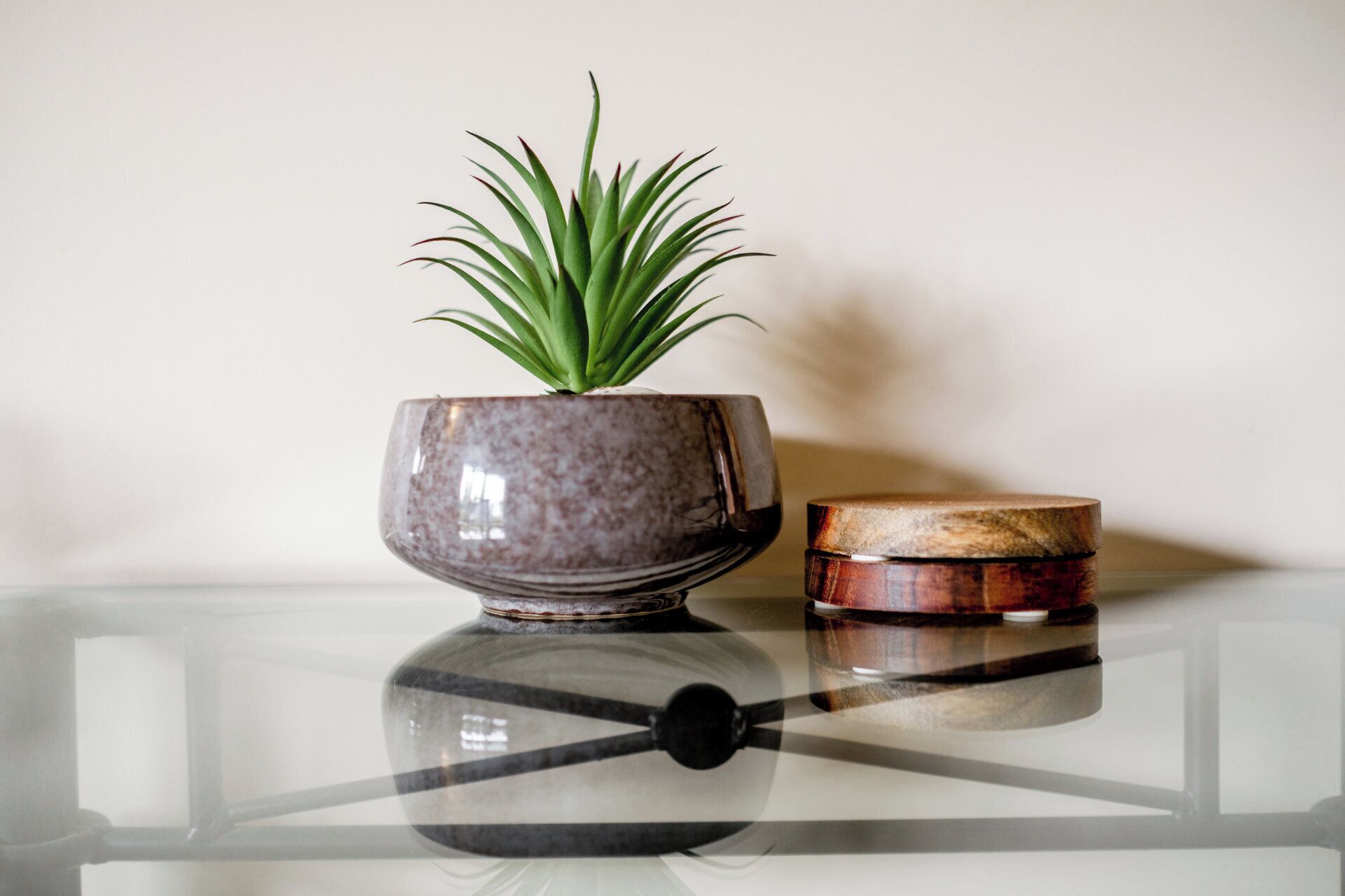 A plant in a ceramic bowl on a glass table.