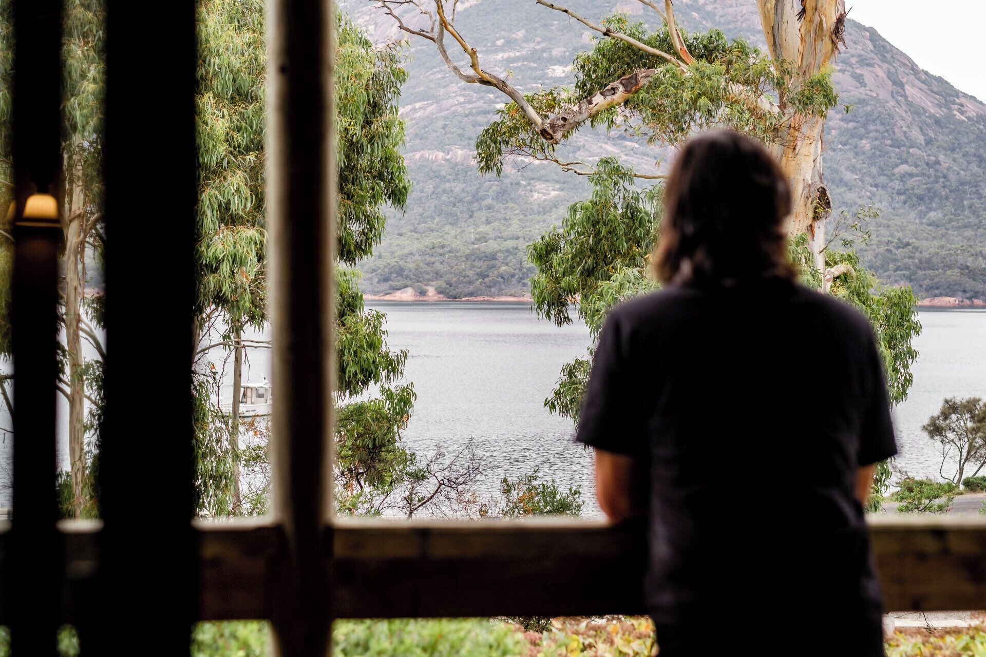 A person standing by a window overlooking a lake with trees and a mountain in the background.