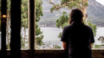A person standing by a window overlooking a lake with trees and a mountain in the background.