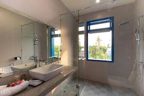 Shower, free toiletries, hair dryer, bathrobes