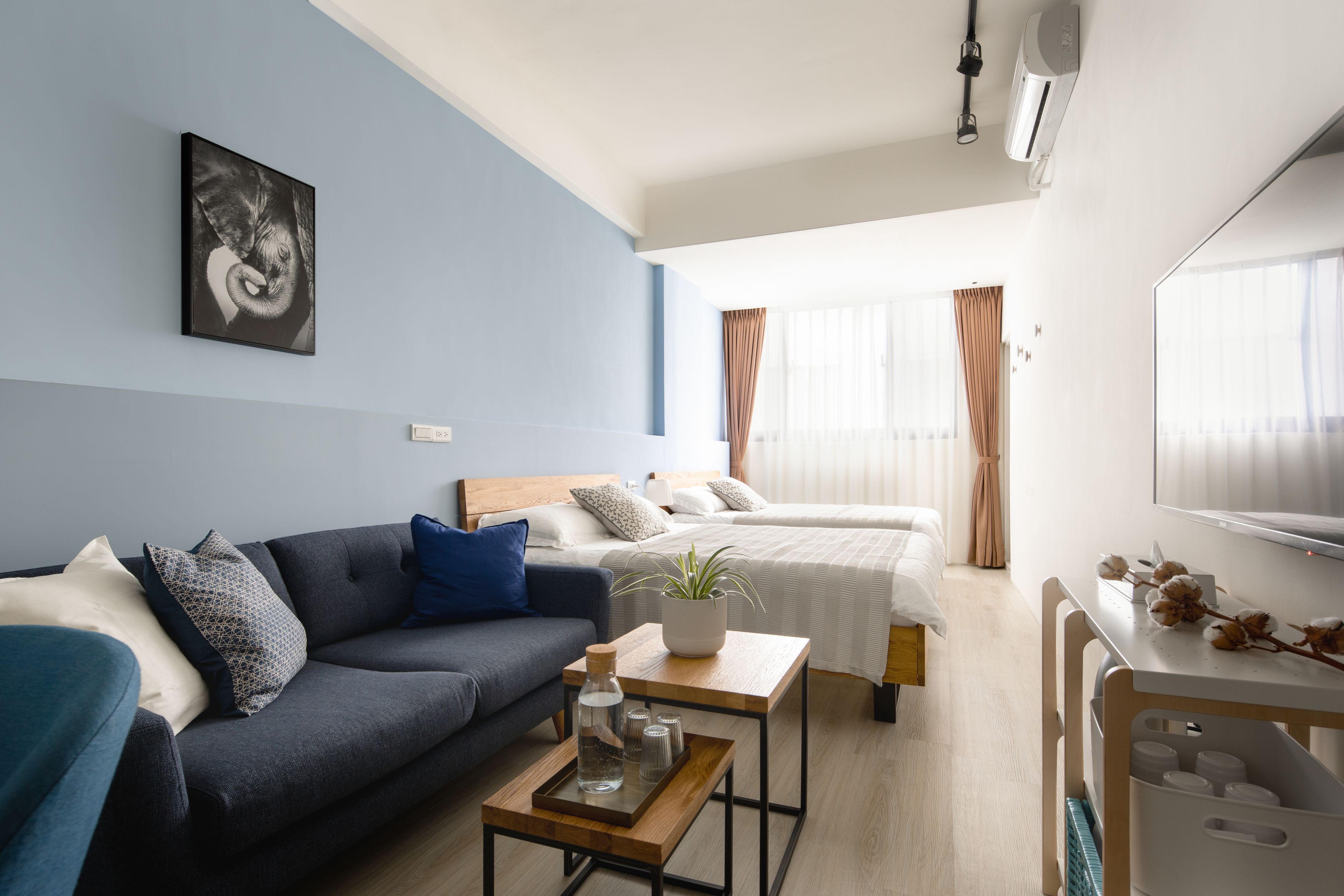 A modern hotel room with a blue accent wall, a sofa, a bed, a small table with a plant, and a TV.