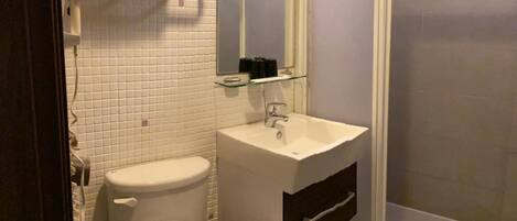 Un baño con inodoro, lavabo y ducha.