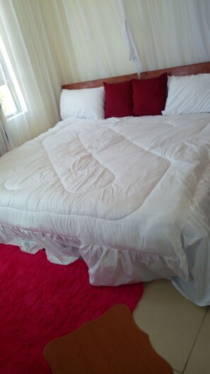 1 chambre, fer et planche à repasser, Wi-Fi gratuit, draps fournis