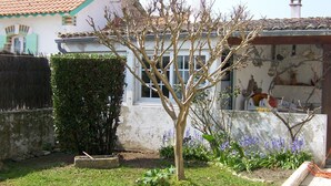 A residential garden with a small tree, a hedge, and flowering plants. - Country house with enclosed garden (La cotinière Saint-Pierre-d'Oléron)