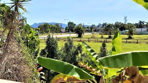 A view from a window overlooking a green landscape with a road, trees, and a distant mountain.