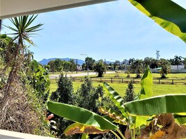 Vista del balcón