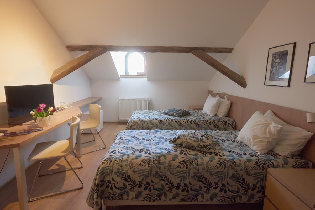Classic Double Room, 2 Twin Beds | Desk, laptop workspace, soundproofing, free WiFi