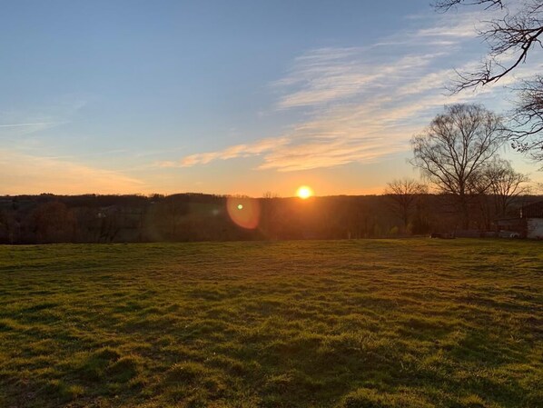 Un champ verdoyant, avec un coucher de soleil en arrière-plan.