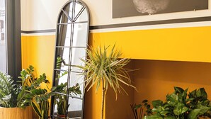 A room with a large mirror, potted plants, and a framed picture on the wall. - Hotel Central Lodge (Rome)