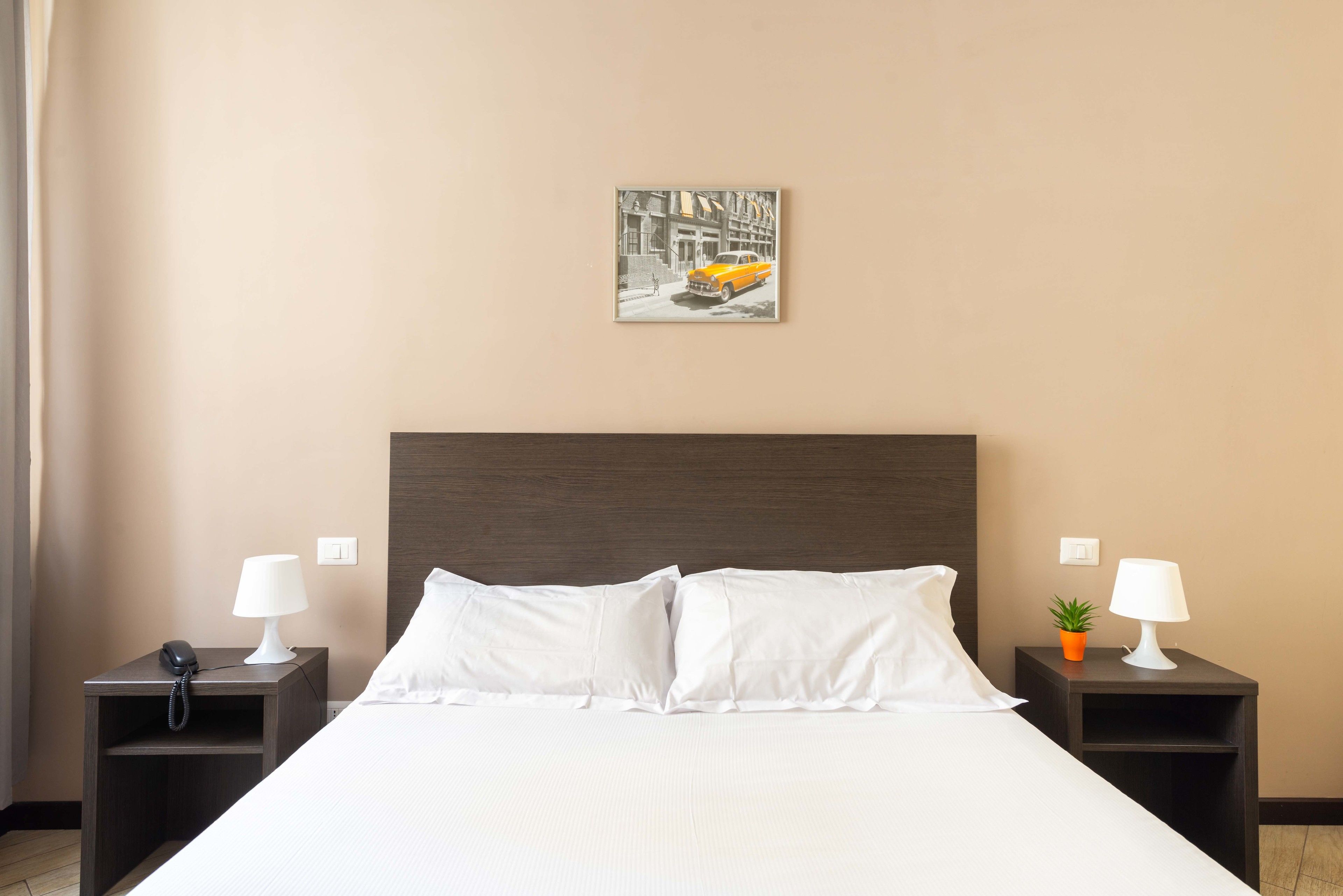 Habitación de hotel con una cama grande, dos mesitas de noche con lámparas, una pequeña planta en maceta y un cuadro enmarcado en la pared.