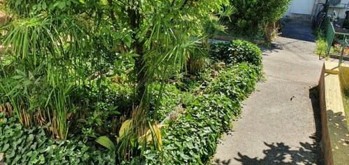 Guest House Roki & Diva - Adults only