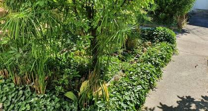 Guest House Roki & Diva - Adults only