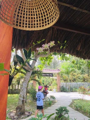Property grounds - Hoi An Blue Seaside Homestay (Da Nang)