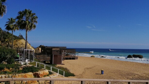 Una platja amb una estructura de fusta, palmeres i un cel blau clar.