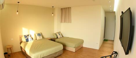 A bedroom with two beds, a TV, and a chair.
