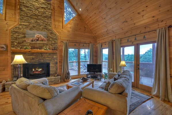 Televisión, chimenea, videojuegos y reproductor de DVD 