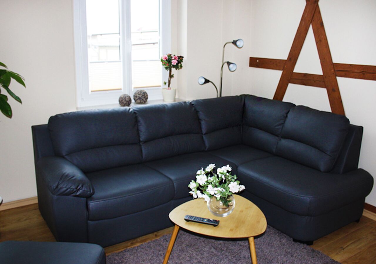 Fernseher, Bücher