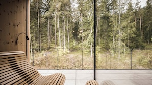 A modern interior with a large window overlooking a forest. There are two wooden benches and a metal railing.