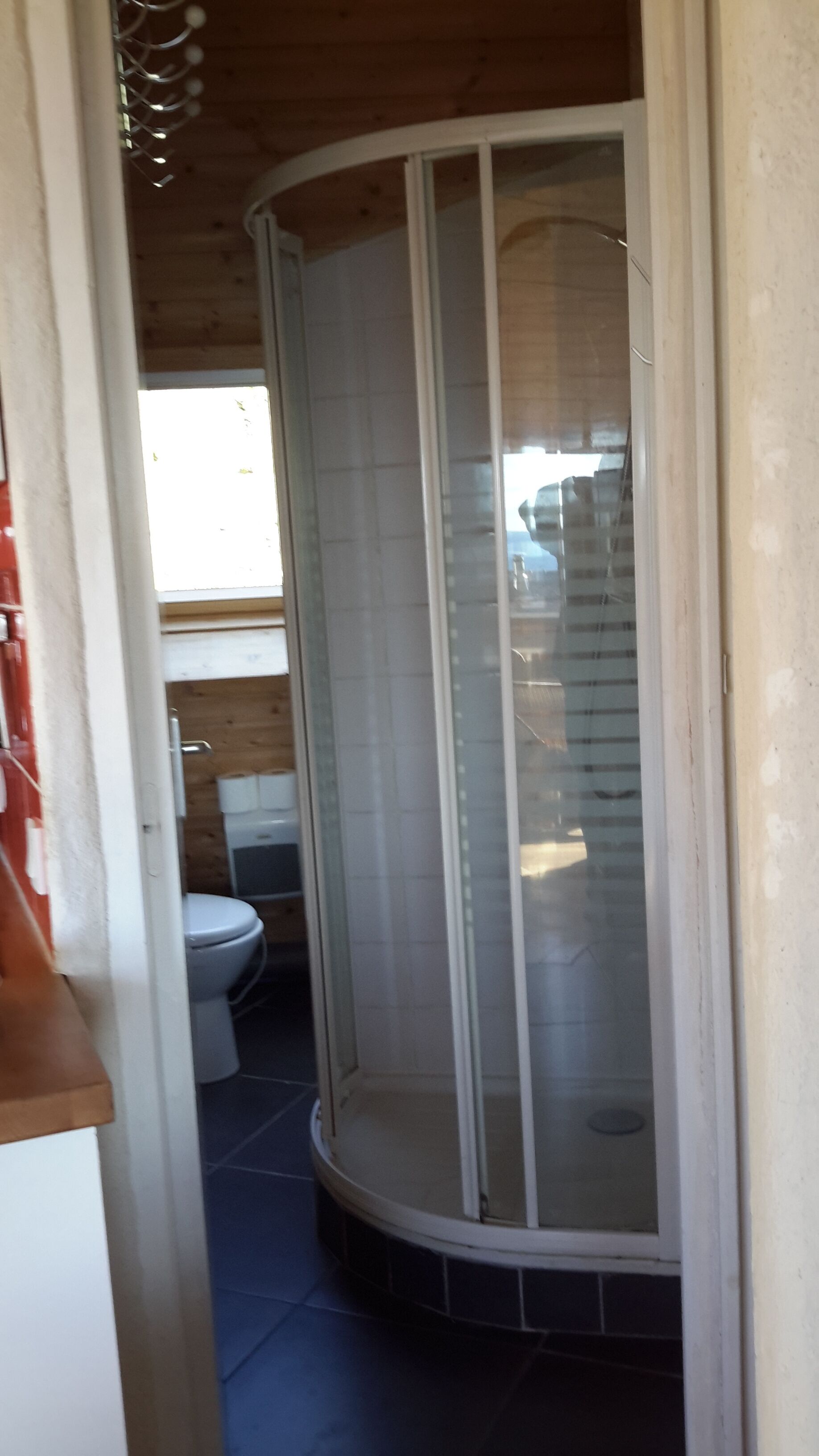 Ein Badezimmer mit Duschkabine, Toilette und Holzwänden.