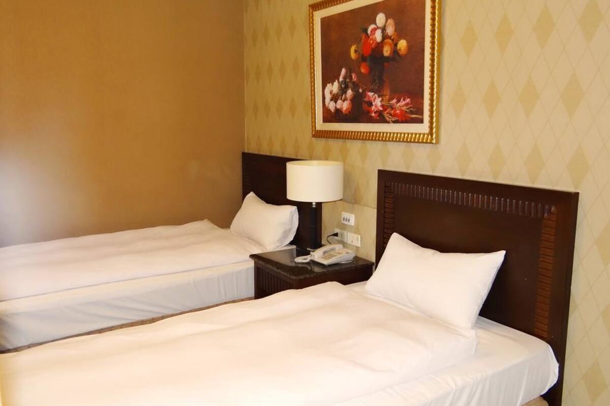 business twin room | desk, blackout curtains, soundproofing, free wifi