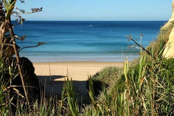 Unclassified image, 1 of 31, button