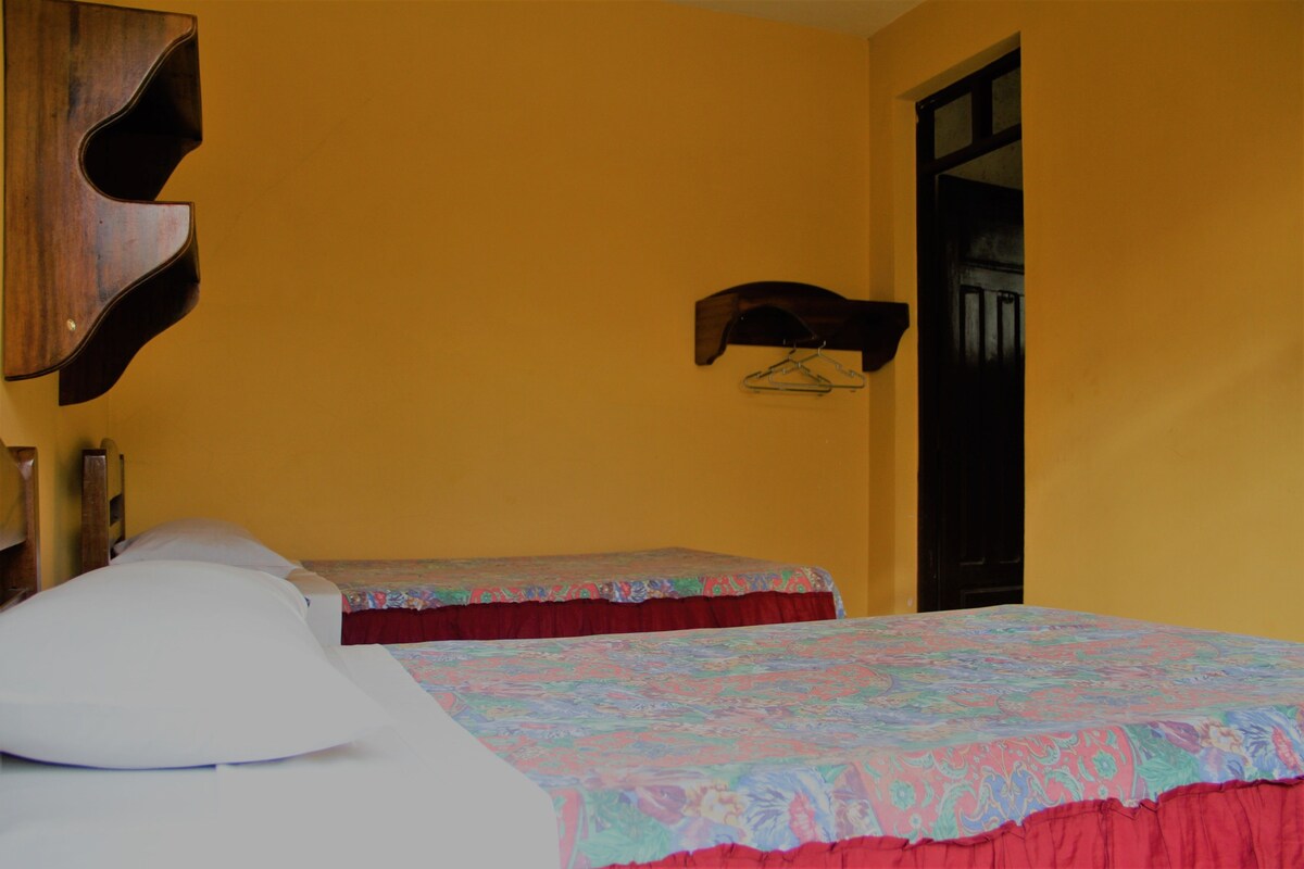 Classic Double or Twin Room, Multiple Beds | Blackout drapes, soundproofing