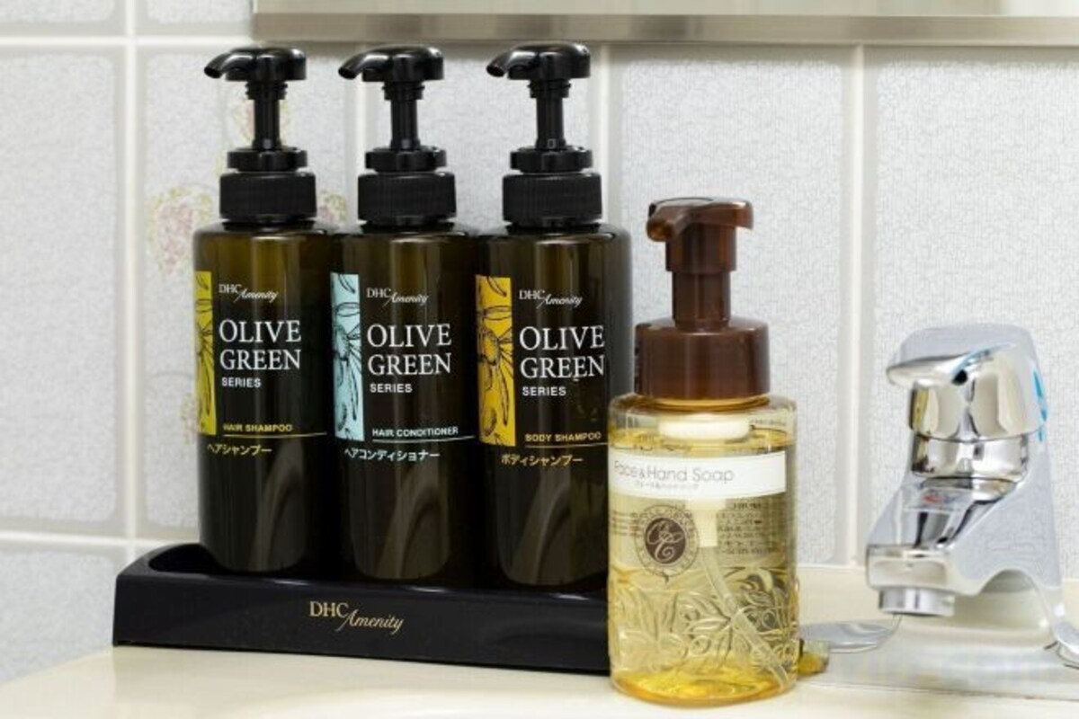 Combined shower/tub, free toiletries, hair dryer, slippers