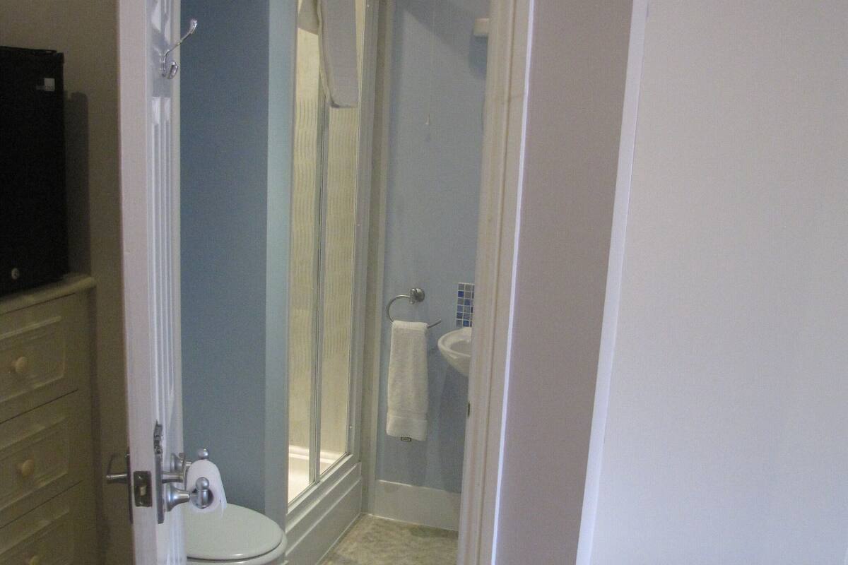 A bathroom with a toilet, sink, and shower area.