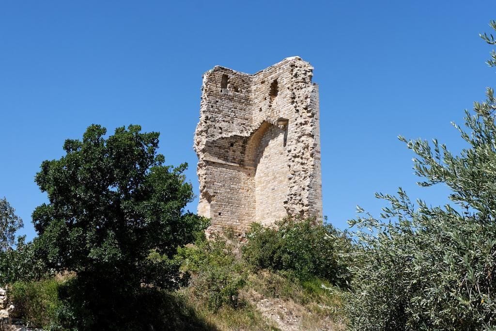 A historic stone tower with a large arched opening, surrounded by trees and vegetation.