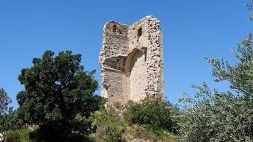 A historic stone tower with a large arched opening, surrounded by trees and vegetation.
