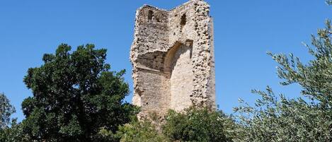 A historic stone tower with a large arched opening, surrounded by trees and vegetation.