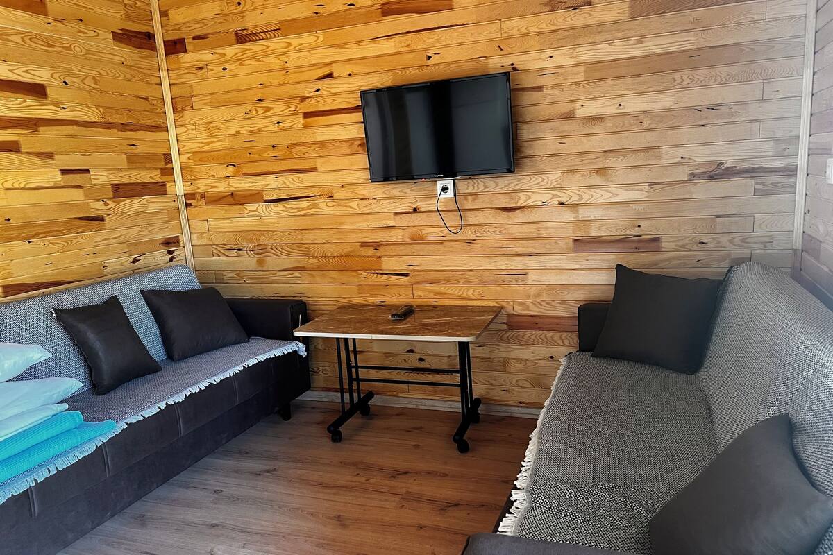 Una habitación acogedora con paredes de madera, un televisor de pantalla plana sobre una mesita pequeña y dos sofás con cojines.