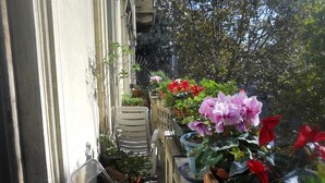 Exterior - Casa di Stefano (Milan)