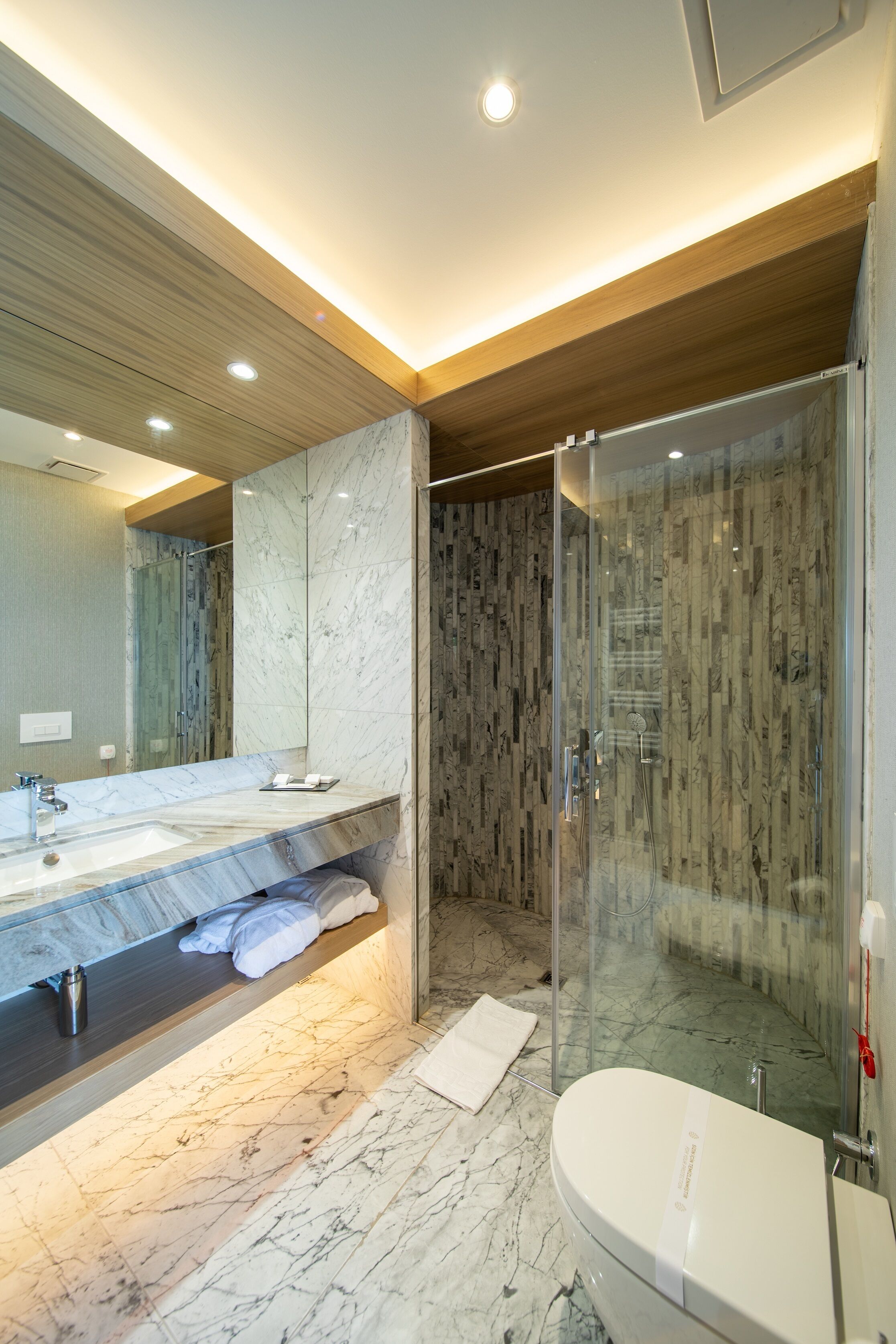 A modern bathroom with a marble vanity, a glass-enclosed shower, and a white toilet.