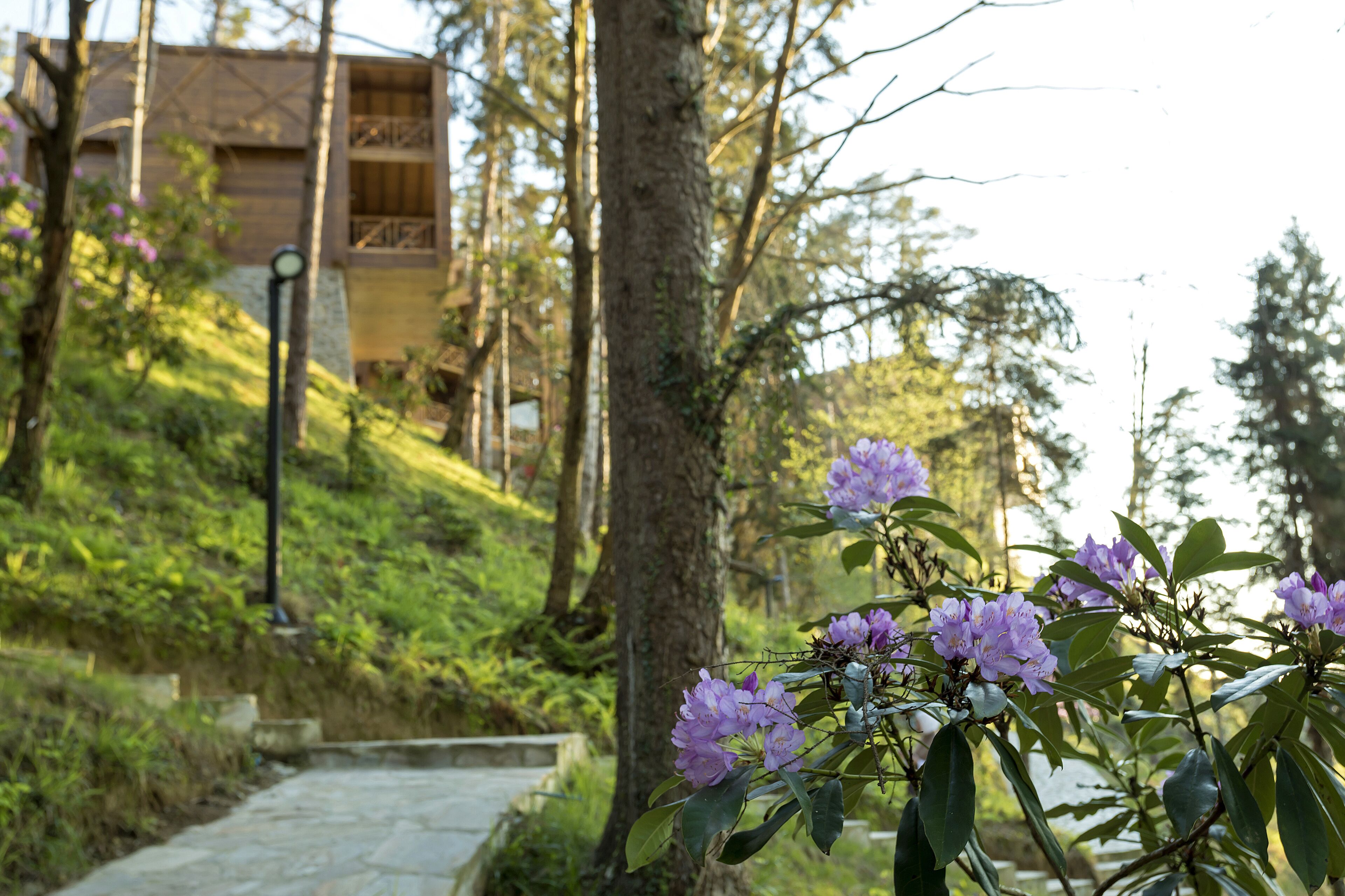 outdoor banquet area