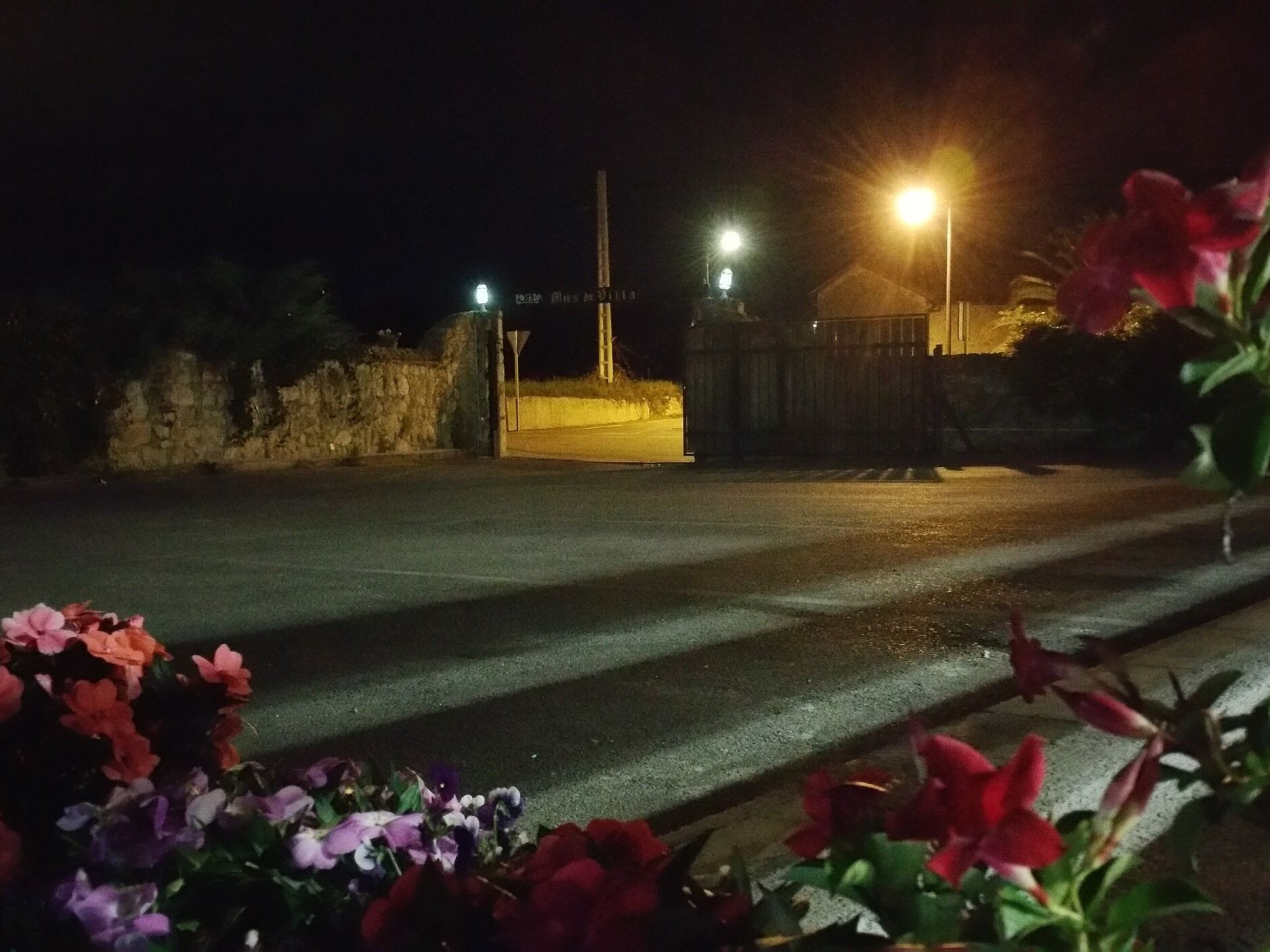 Photo - Mies de Villa