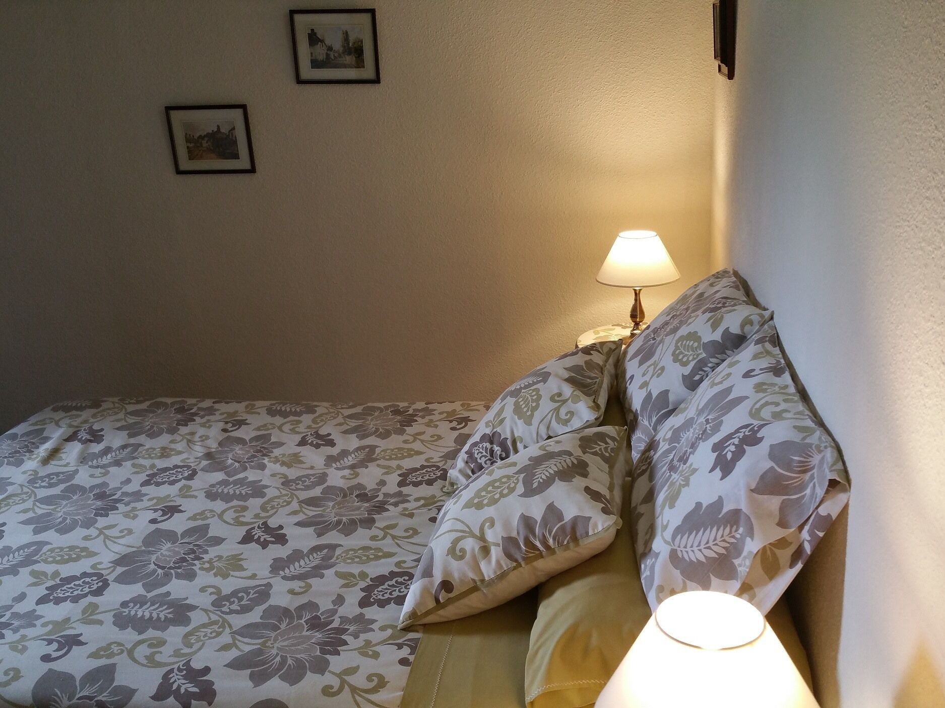 Photo - Mies de Villa